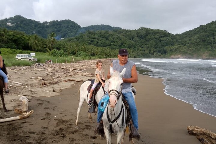 1 1/2 hours Tour Horseback Riding and Visiting the Beach
