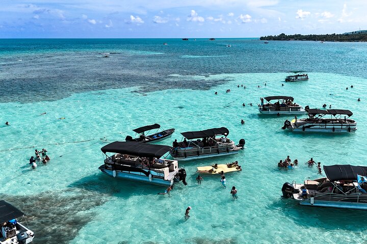Private Marine Tour: Discover the 7 Colors of the San Andreas Sea