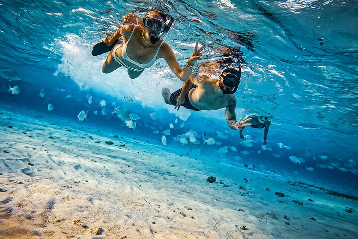 Private Marine Tour: Discover the 7 Colors of the San Andreas Sea