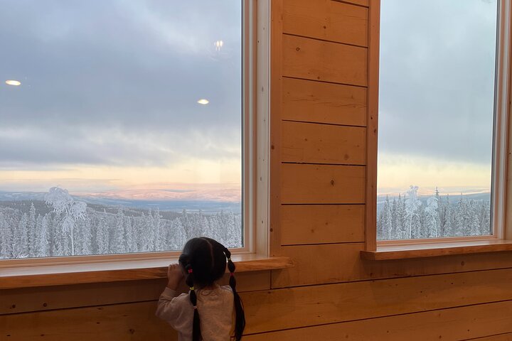 Mountaintop 360° Best Alaskan Cabin with Photography @Aurora Camp