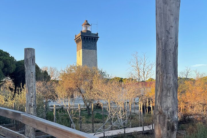 Day in Camargue Aigues-Mortes and St Marie de la mer