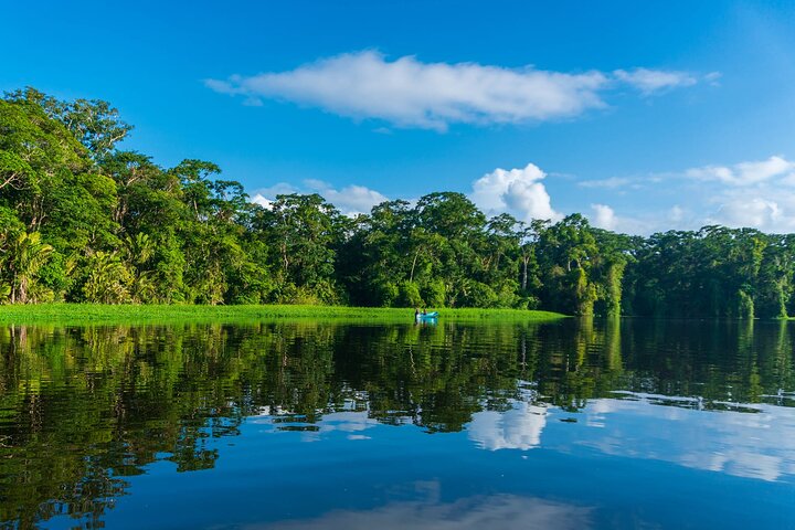 Tortuguero : Spawning Tour + Canoe Tour + Night Jungle Tour