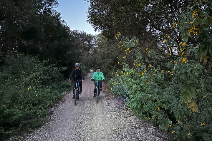 Glow Worm Tunnel Evening Guided Tour