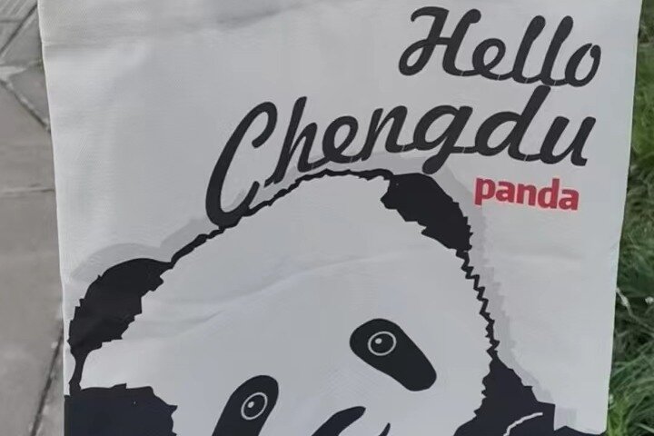 Chengdu Panda Research Base Tickets And Optional Private Tour