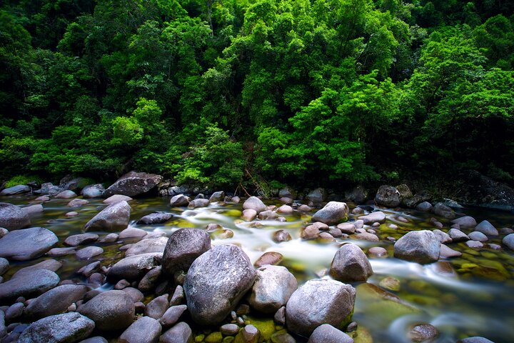 Daintree Rainforest, Mossman Gorge Small-Group from Port Douglas