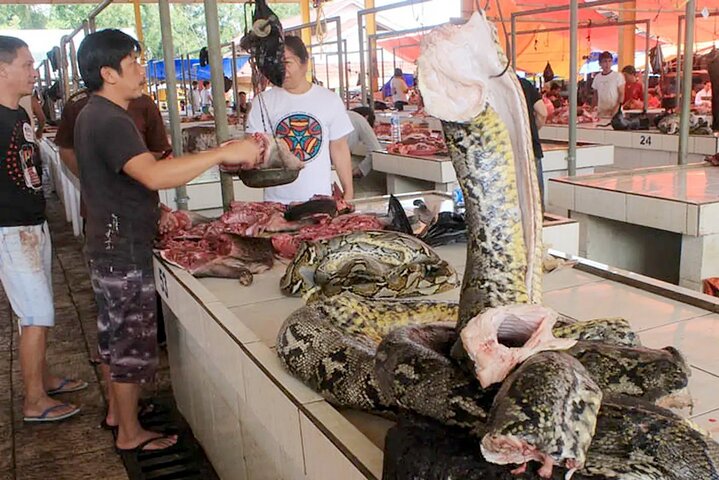 Private tour of Manado and Tomohon including lunch and driver