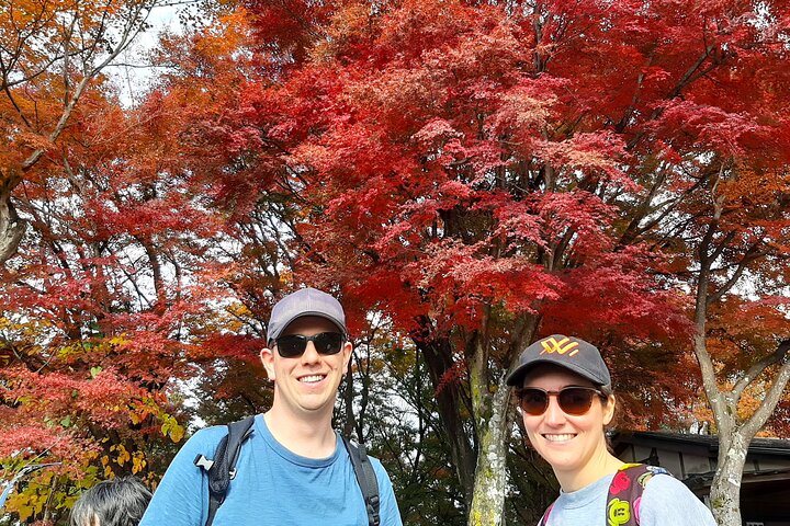 Full Day Hiking Tour at Mt.Takao including Hot Spring