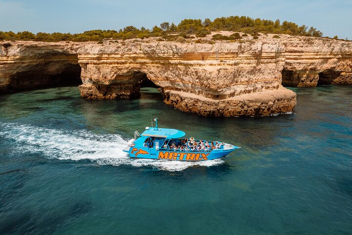 Benagil Caves and Dolphin Watching - 2.5h