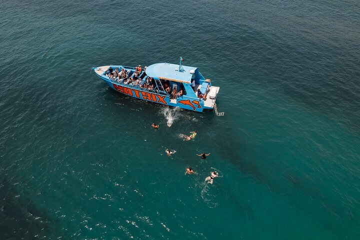 Benagil Caves and Dolphin Watching - 2.5h