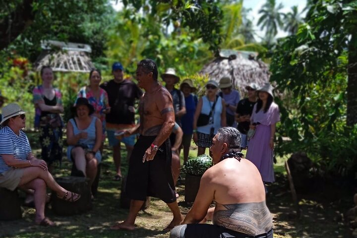 Full Day Tour in Samoa with a Local