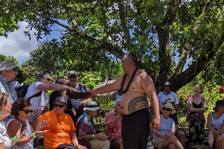 Full Day Tour in Samoa with a Local