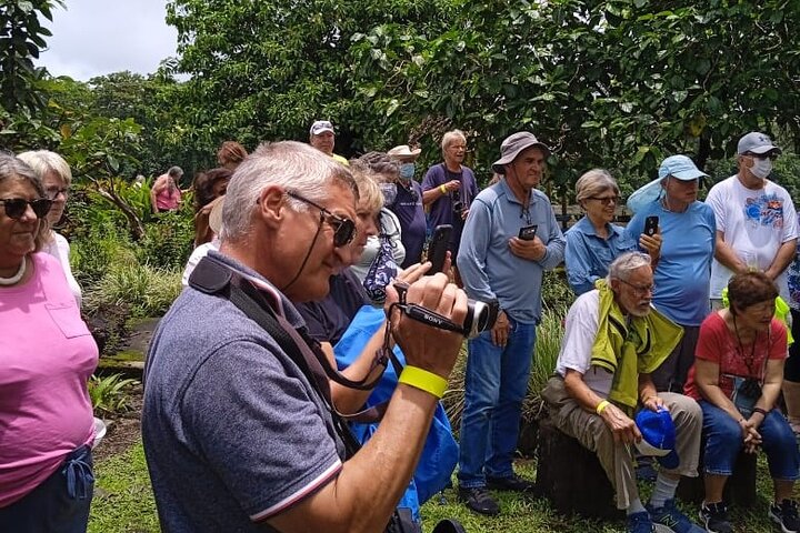 Full Day Tour in Samoa with a Local