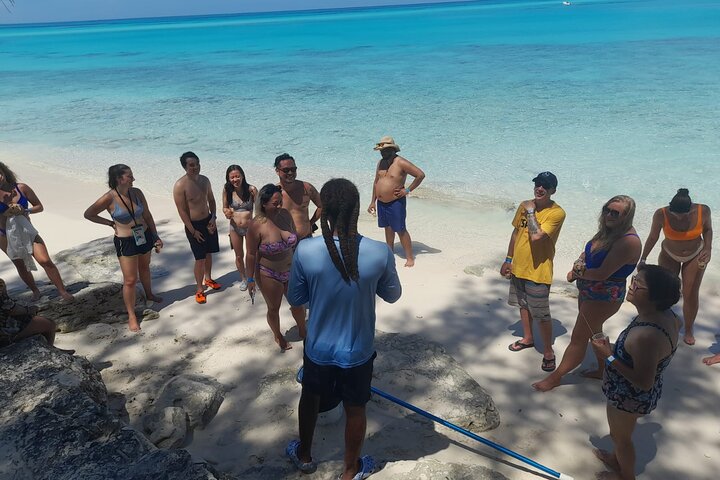 Private Nassau Rose Island Boat Tour Swimming Pigs, Turtles