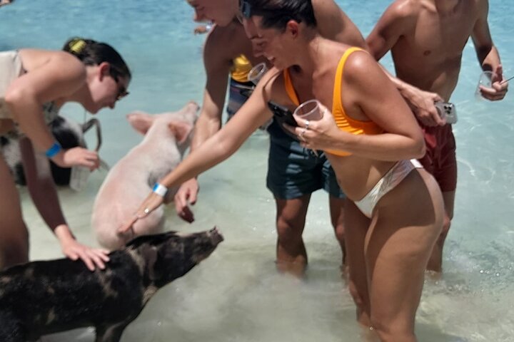 Private Nassau Rose Island Boat Tour Swimming Pigs, Turtles