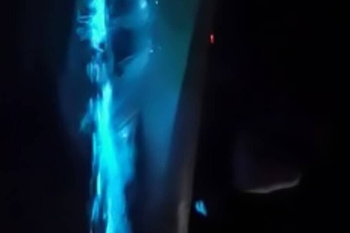 Eddy's Bioluminescence Reserve in Punta Cuchillos