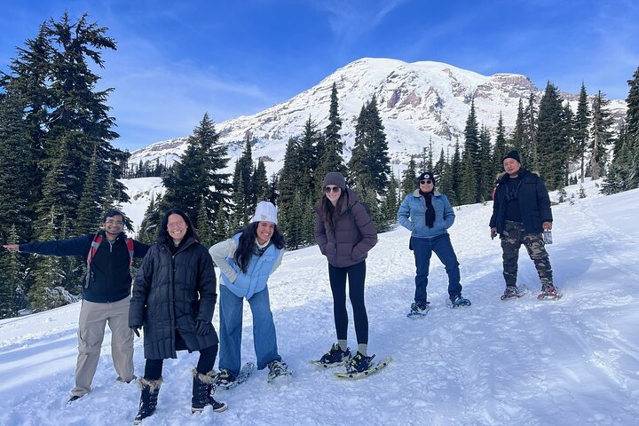 Mt. Rainier National Park Highlights Tour