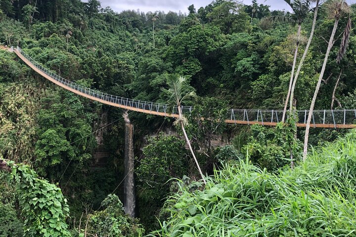 Vanuatu Jungle Zipline, Swing and Skybridge Combo with Transfer