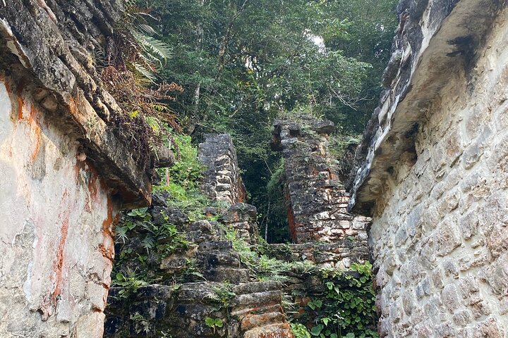 Lacandon Jungle And Bonampak Ruins