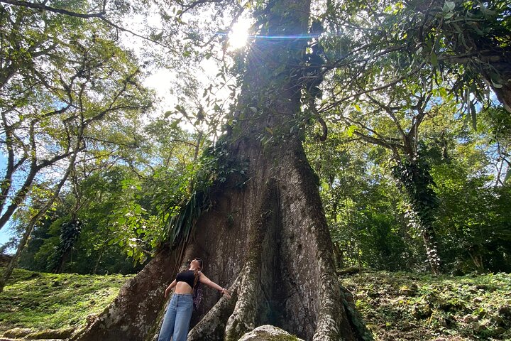 Lacandon Jungle And Bonampak Ruins