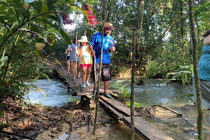 Lacandon Jungle And Bonampak Ruins
