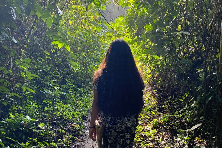 Lacandon Jungle And Bonampak Ruins