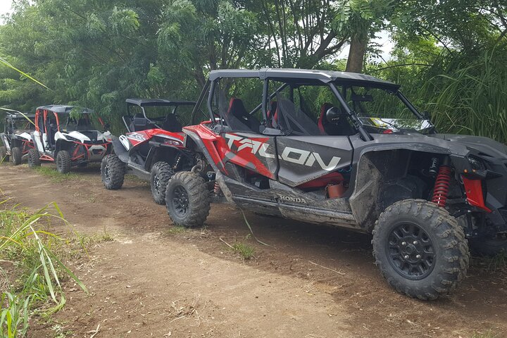 Sunny Blue Rentals in St Kitts for ATV and Dune Buggy Combo Tours