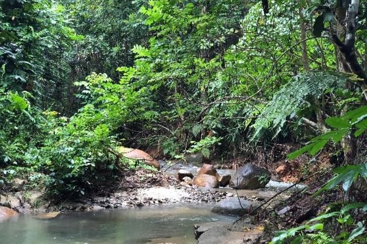 Fiji Adventure: Biausevu Waterfall & Dunes hiking Combo Tour!