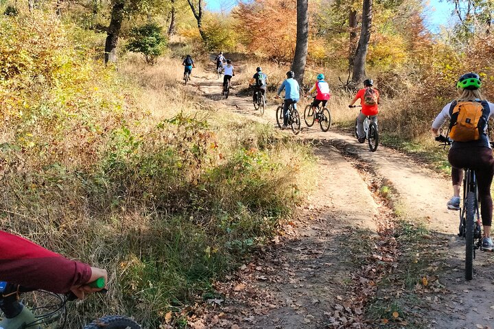 Sambata de Sus: E-Bike Guided Tours