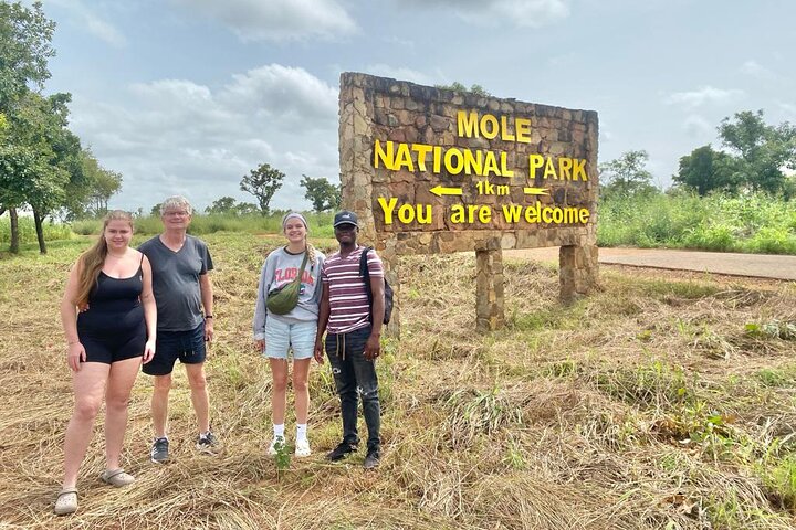 Mole National Park Elephant Safari with Round - Trip Flights