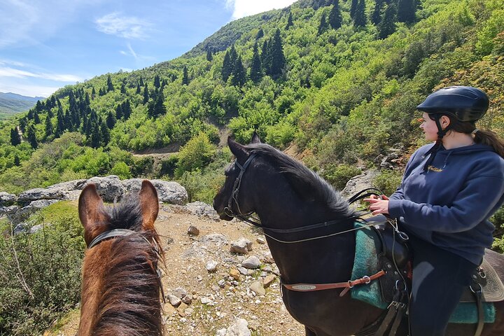 Amazing Horse Riding Experience at Vjosa National Park in Permet