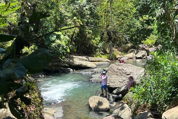 El Yunque Rainforest Waterslides and Luquillo Beach w/ Transport