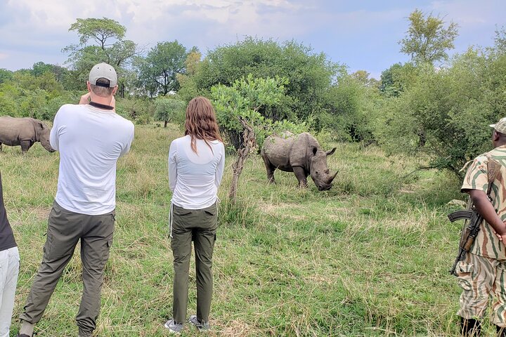 Game Drive Plus White Rhino Short Walk