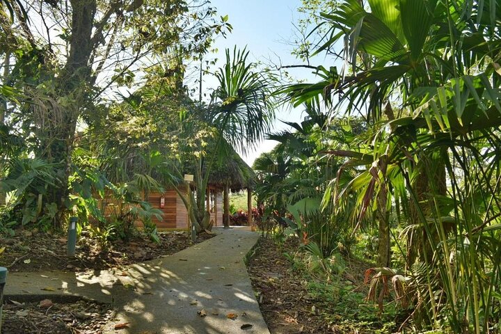 4 Days Archidona Amazon and Kichwa Community Tour
