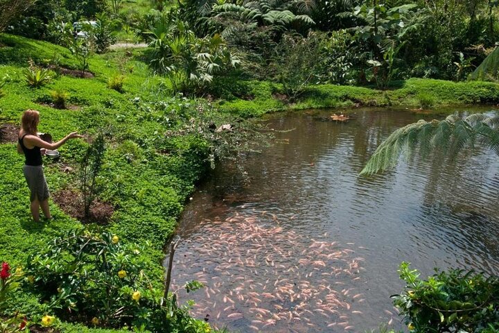 4 Days Archidona Amazon and Kichwa Community Tour