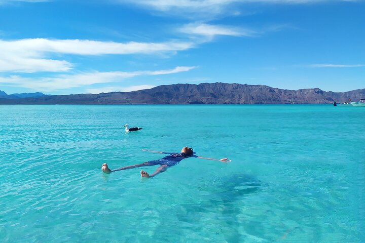 Best Tour to Coronados Island