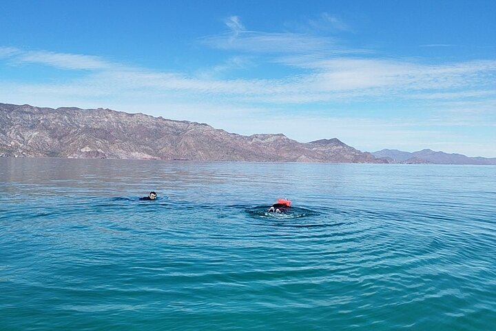 Best Tour to Coronados Island