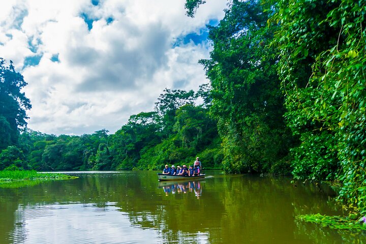 Tortuguero:Canoe tour, day hike, hill tour, night or spawning tour