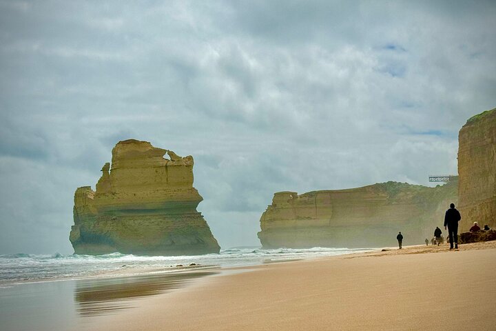 Premium Small Group Great Ocean Road & Wildlife with Lunch