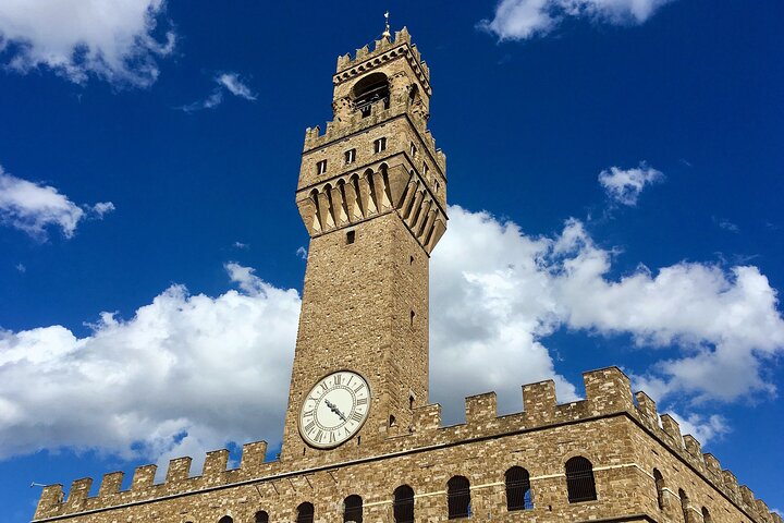 Livorno Shore Excursion: Florence & Pisa with Accademia and Tower