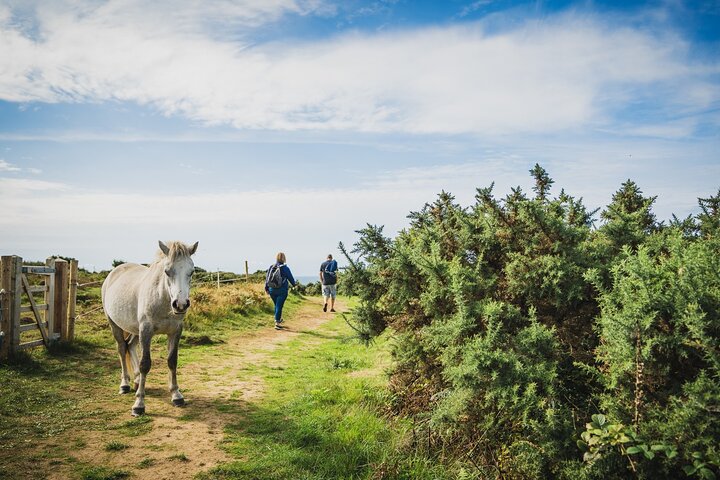 From Cardiff: The Gower - Mumbles, Three Cliffs And Worms Head