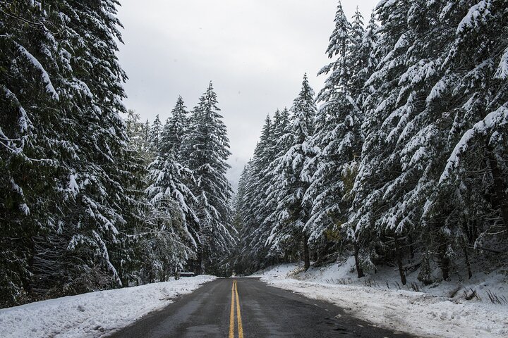 Olympic National Park Self-Guided Driving Audio Tour