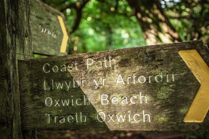 From Cardiff: The Gower - Mumbles, Three Cliffs And Worms Head