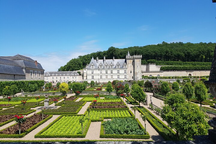 Loire Valley Half Day Wine Tour from Tours : 2 local wineries