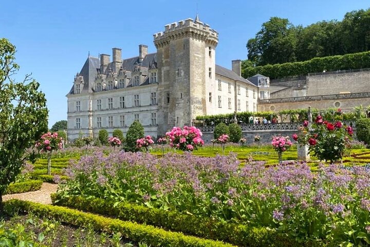 Loire Valley Half Day Wine Tour from Tours : 2 local wineries