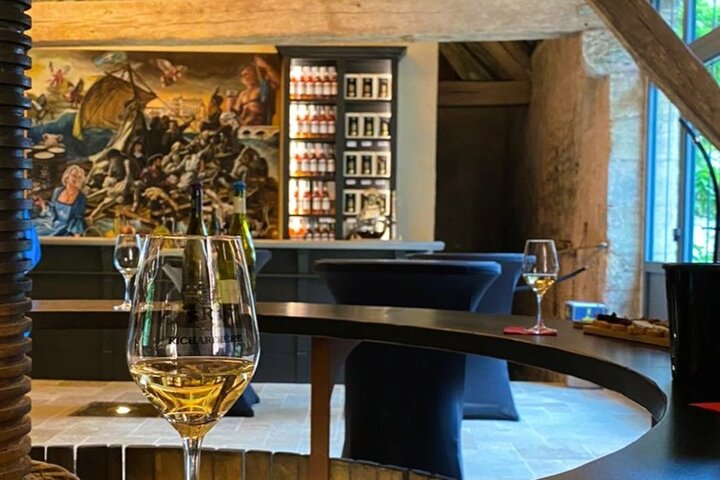 Loire Valley Half Day Wine Tour from Tours : 2 local wineries