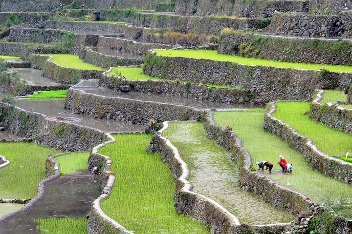 Small-Group Weekend Hiking Tour to Banaue-Ifugao from Manila