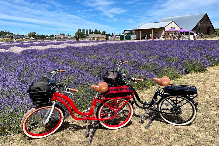Electric Bike Ride on the Olympic Discovery Trail