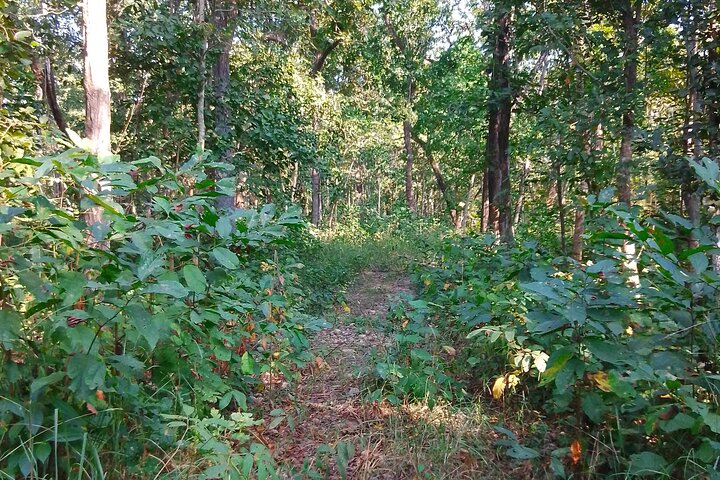Chitwan National Park Bird Watching Untouched Side from Madi