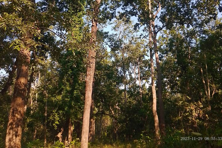 Chitwan National Park Bird Watching Untouched Side from Madi