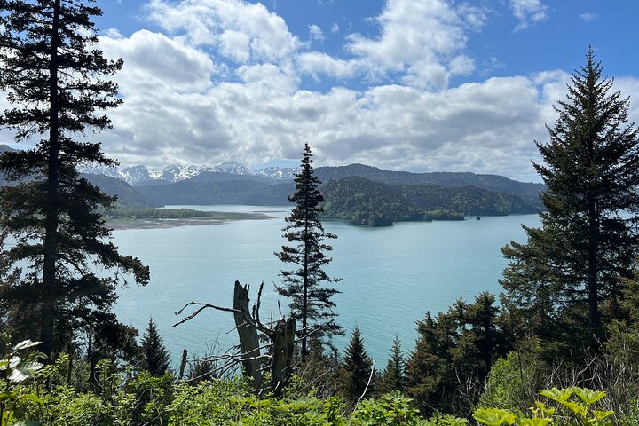 Grewingk Glacier Lake Hike in Kachemak Bay State Park